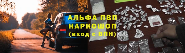 индика Абаза