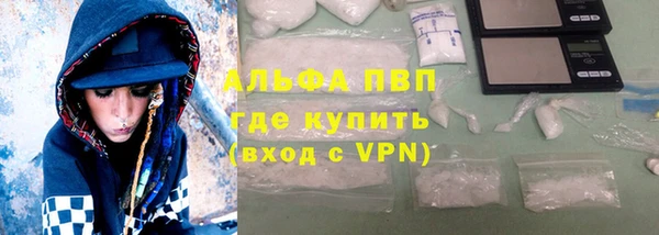 индика Абаза