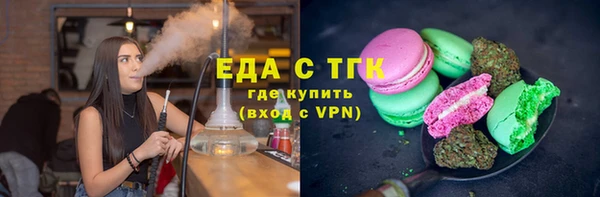 индика Абаза