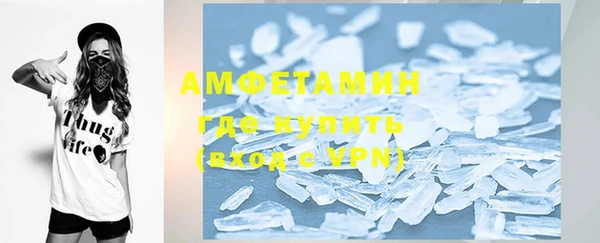 индика Абаза