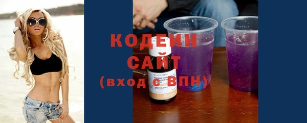 индика Абаза
