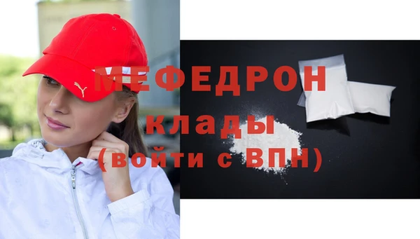 индика Абаза