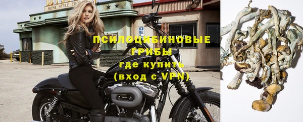 мет Алексин