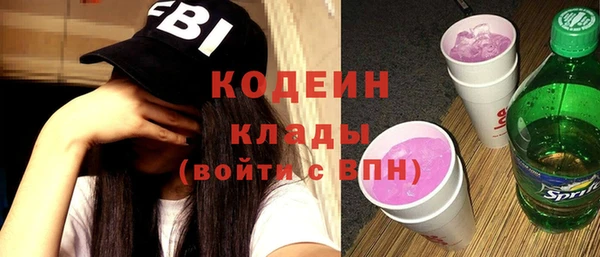 индика Абаза