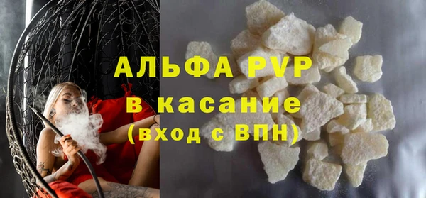 индика Абаза