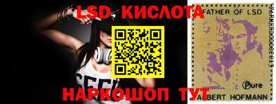 шишки Жуковский