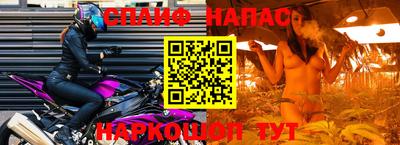 шишки Жуковский