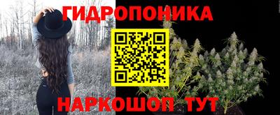 не бодяженный Заводоуковск