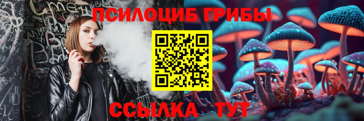 Магнитогорск  Псилоцибиновые грибы GOLDEN TEACHER  Галлюциногенные грибы Psilocybe  Вход с VPN 